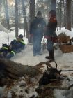 Foreste boreali: minacce ambientali denunciate popolo Sami