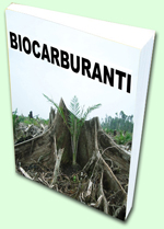 Documenti biodiesel