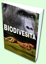 Documenti biodiversita