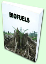 Documenti biodiesel
