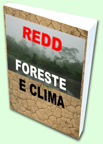 Documenti forste e clima